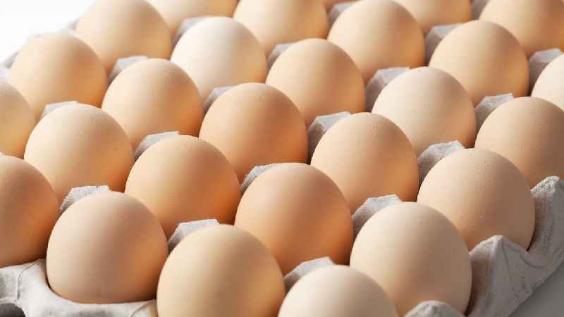 Are eggs good for skin