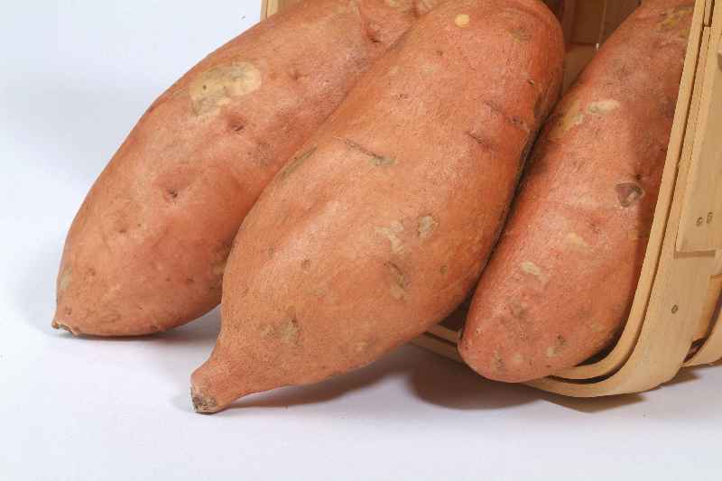 Are sweet potatoes a good source of protein
