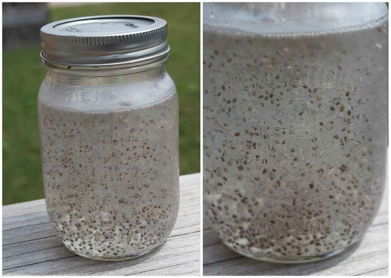Can chia seeds make you gain weight