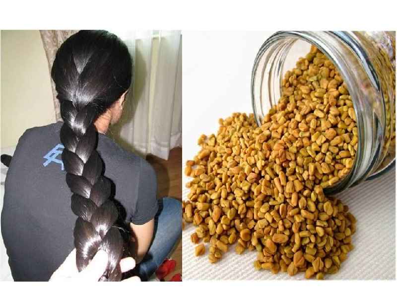 Can fenugreek seeds regrow hair