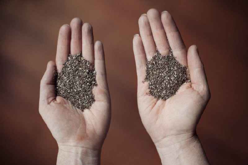 Can I drink chia seeds before bed for weight loss
