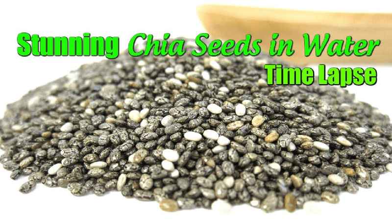 Can I eat raw chia seeds