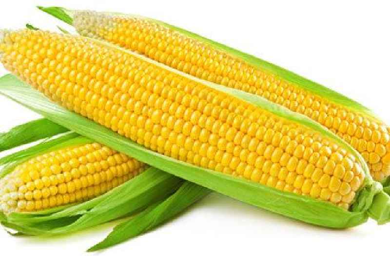 Can you eat out of date tinned sweetcorn