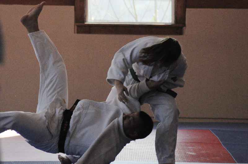 Can you self teach martial arts