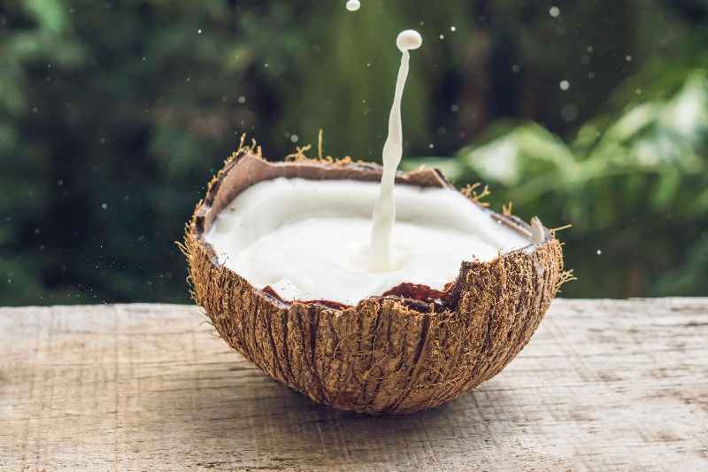 Can you use coconut oil to make perfume