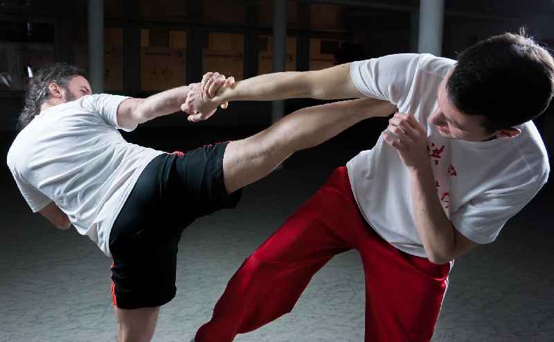 Do martial arts help you fight