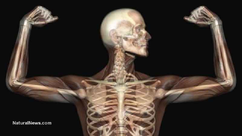 Do microfractures make bones stronger