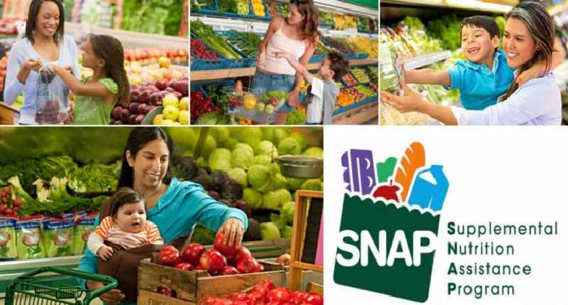 Do us Supplemental Nutrition Assistance Program has improve the nutritional status of families by