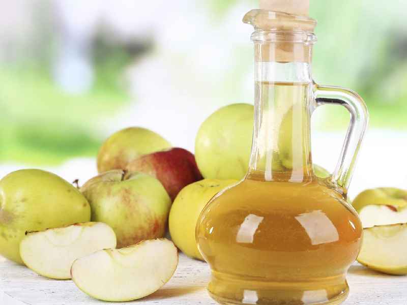 Does apple cider make you lose weight