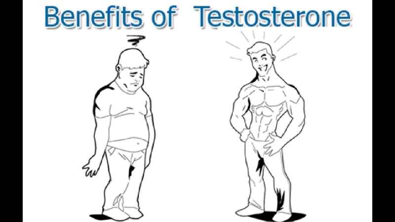 Does fragrance increase testosterone
