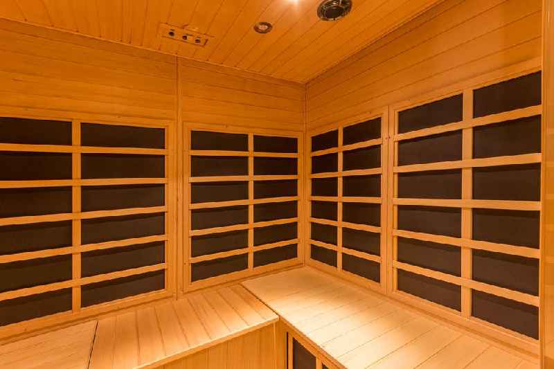 Does infrared sauna detox the body