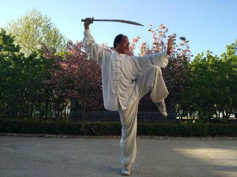 Does Kung Fu get you in shape