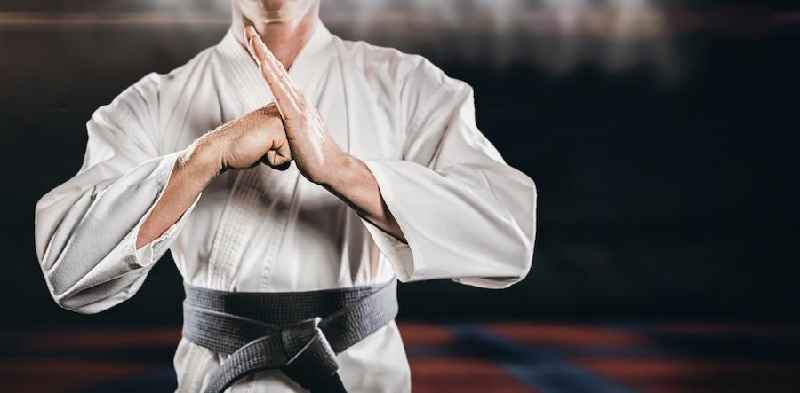 Does martial arts help lose weight
