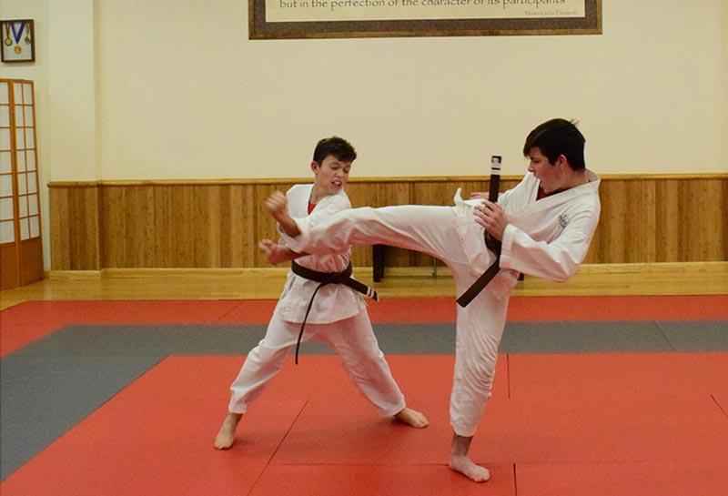 Does martial arts improve agility