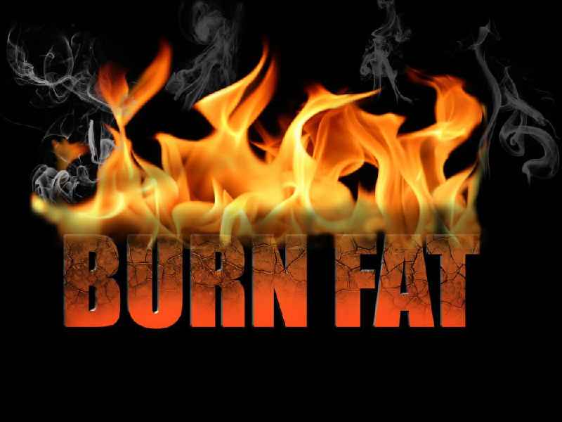 Does MMA burn fat