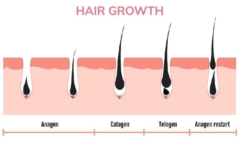 Does oiling hair reduce hair fall
