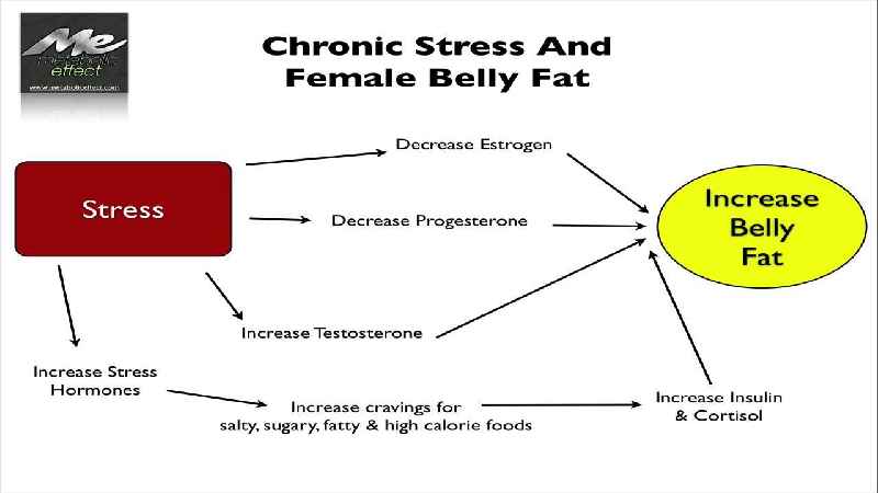 Does progesterone cause belly fat