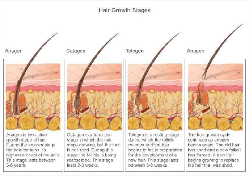 Does waxing reduce hair growth