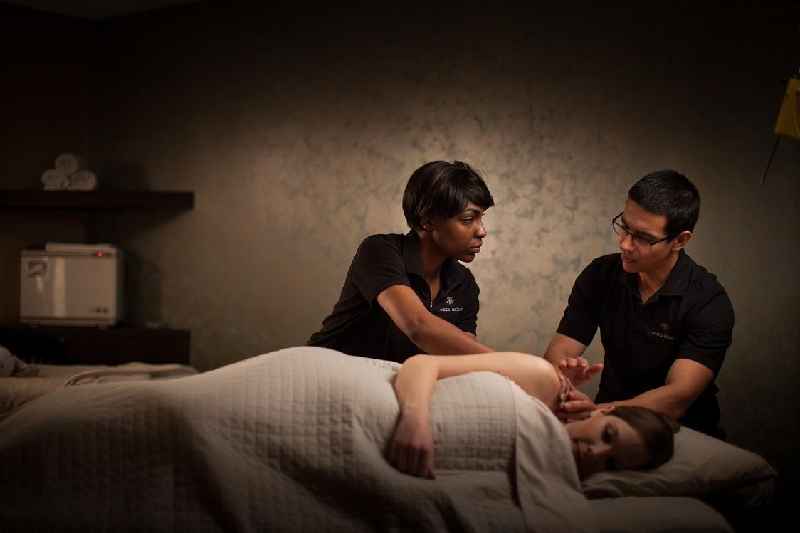 How big is the massage therapy industry