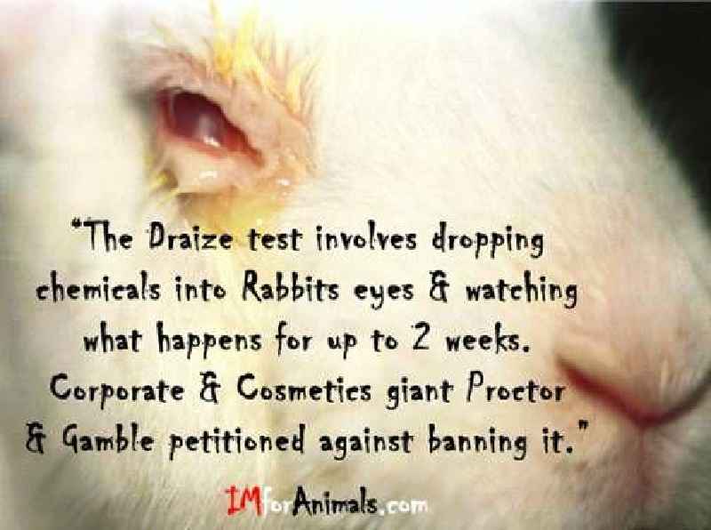 How can we prevent cosmetic testing on animals