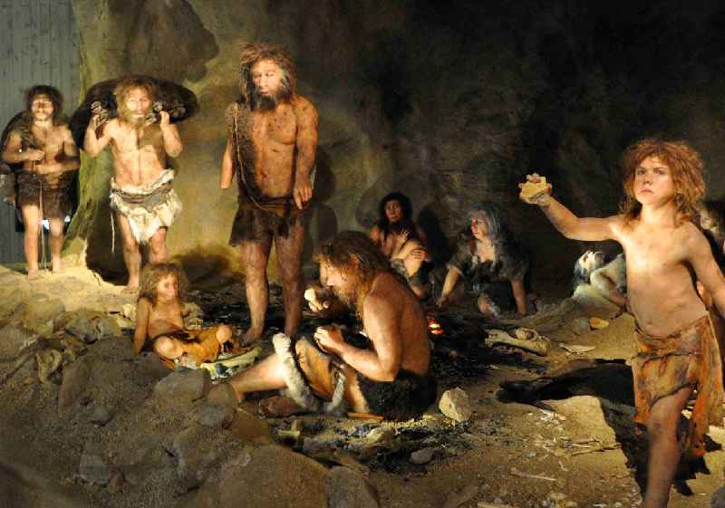 How did Paleolithic humans communicate
