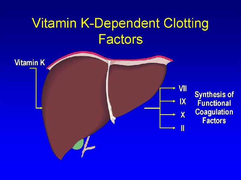 How do antibiotics affect vitamin K