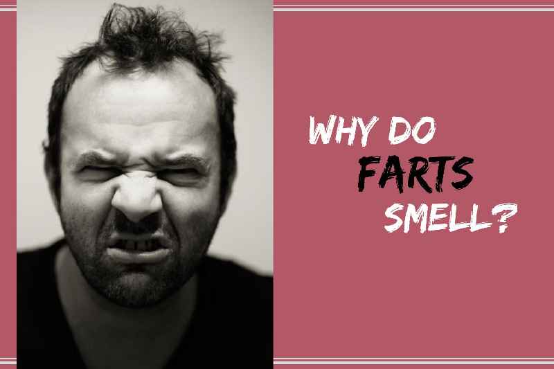 How do men always smell good