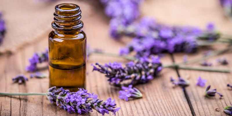 How do you dilute lavender oil