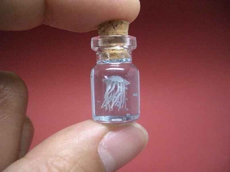 How do you display mini perfume bottles