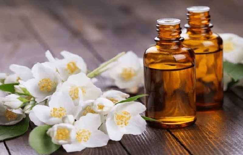 How do you extract oil from jasmine flowers at home