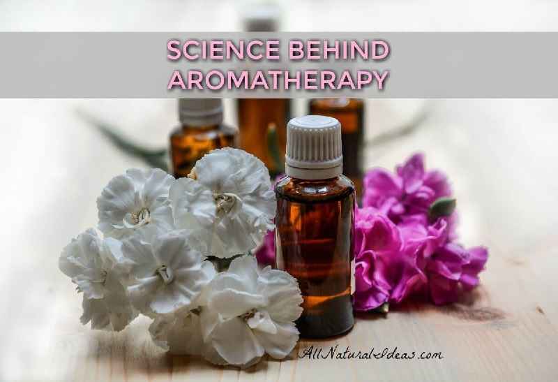How do you make beauty products with essential oils