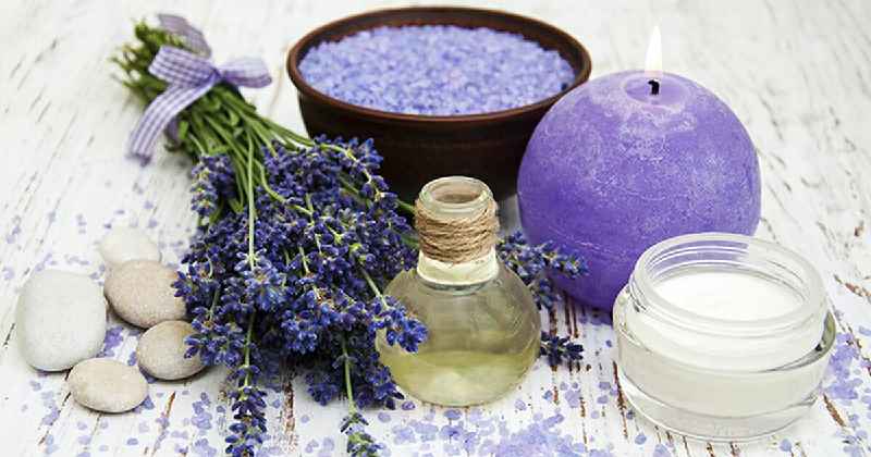 How do you make lavender oil from fresh lavender