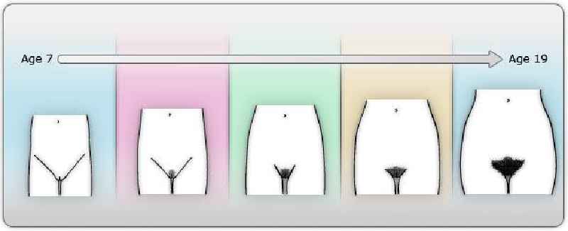 How do you take care of vaginal pubic hair