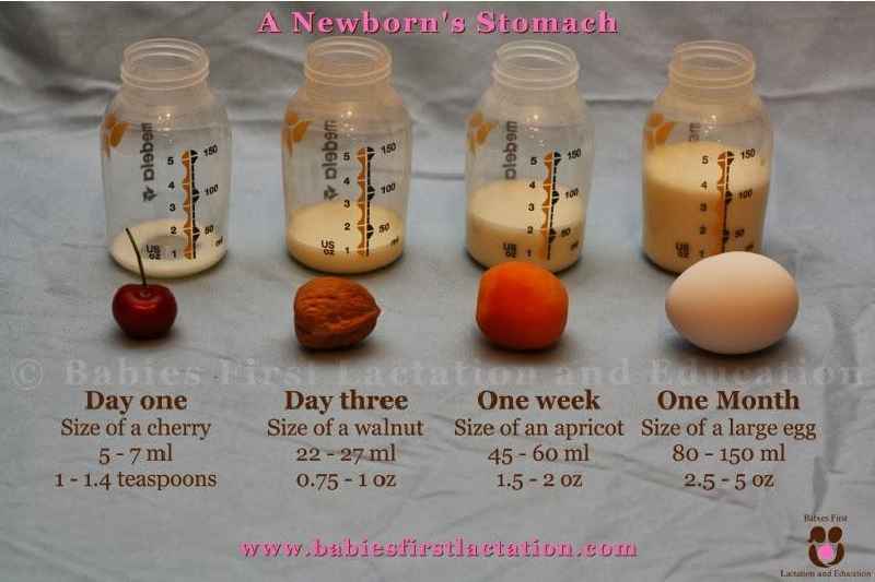 How long does it take for your stomach to shrink after birth