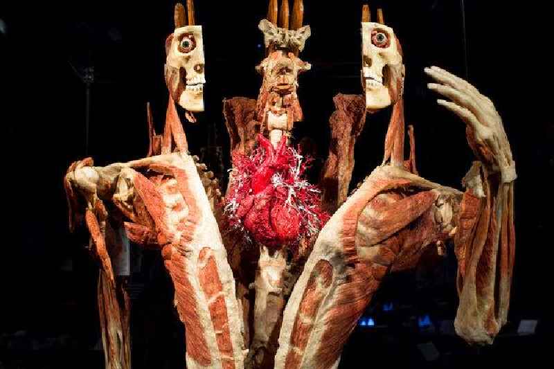 How long is the BODY WORLDS exhibit