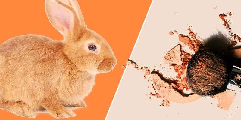 How many animals are tested on for cosmetics