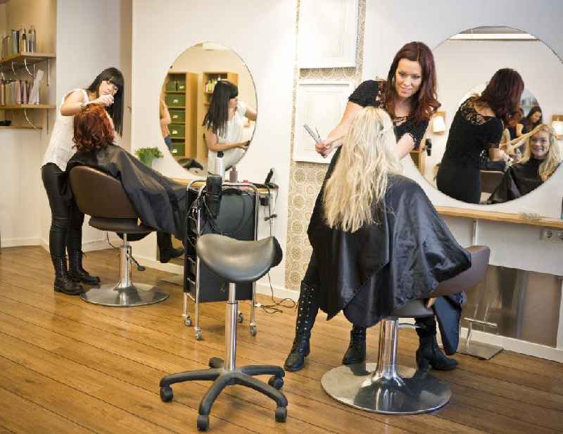 How many licensed hair stylists are in the US