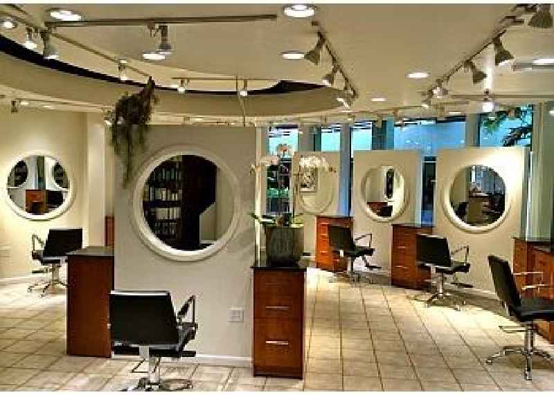How many salons and spas are in the US