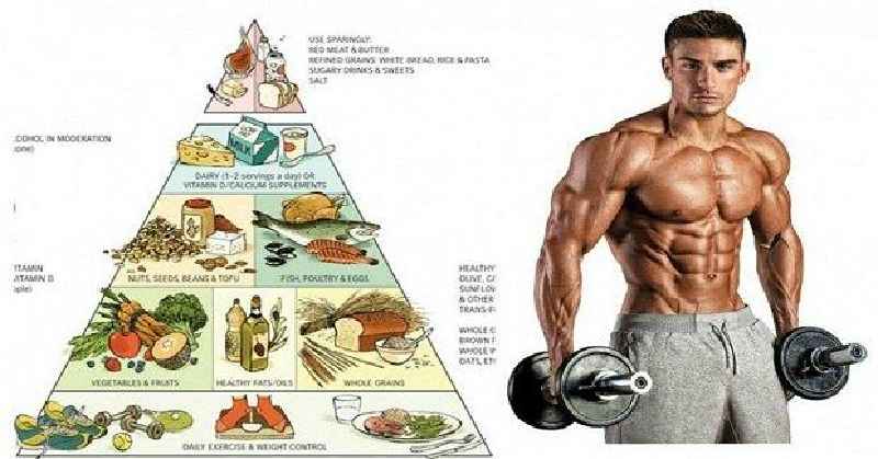 How much protein do I need to build muscle and lose fat