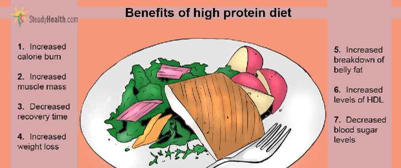 How much protein should I be eating to lose weight
