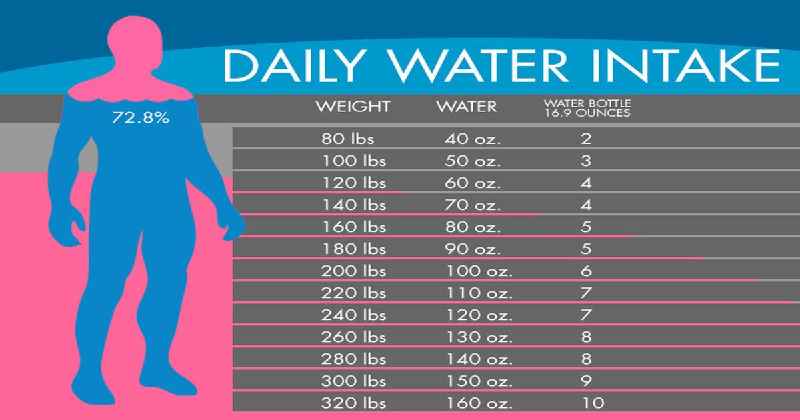 How much water should you drink a day to help lose weight