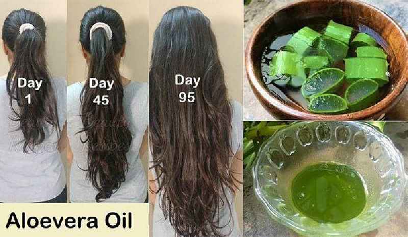 Is Aloe Vera good for low porosity hair
