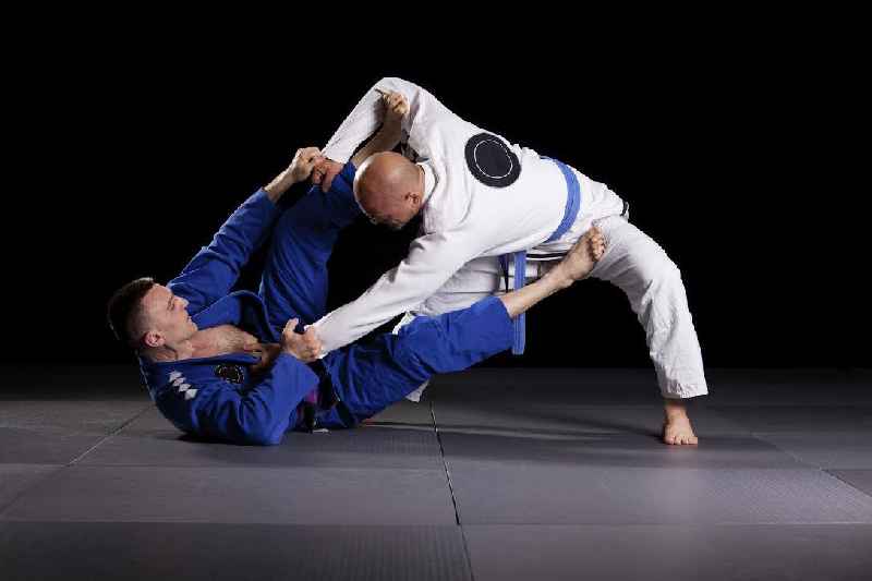 Is BJJ or Judo safer