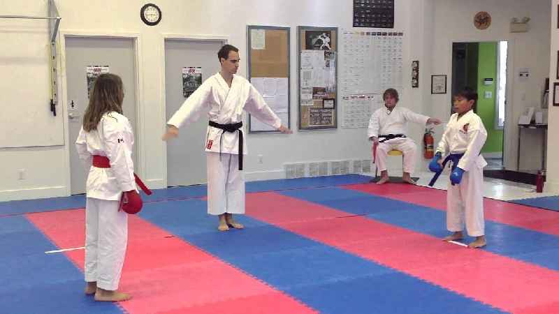 Is brown belt in karate good