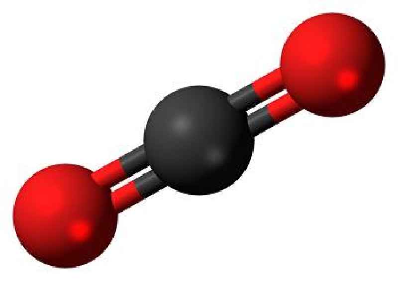Is carbon dioxide an organic compound