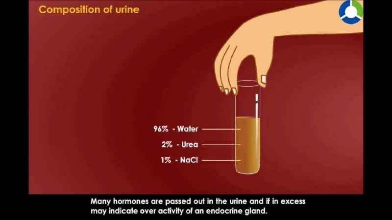 Is cologne made from urine