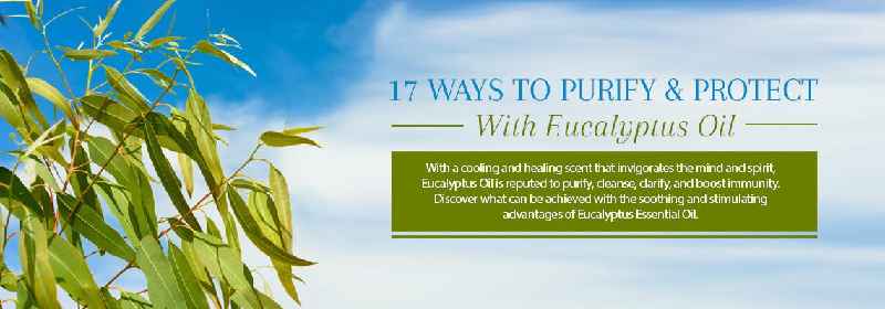 Is eucalyptus oil good for nerve pain