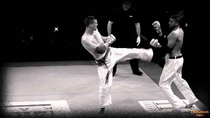 Is Isshinryu Karate effective