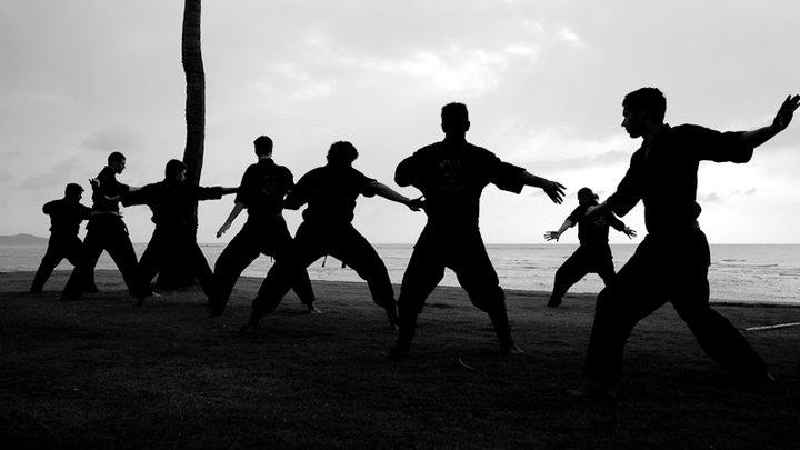 Is martial arts good for mental health