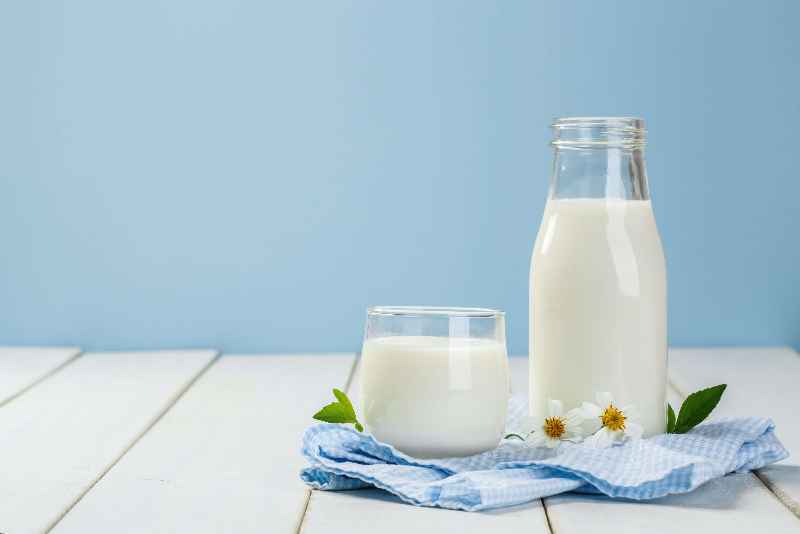 Is milk good for weight loss